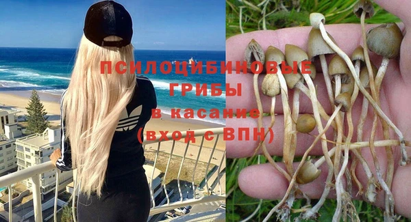 МДПВ Нефтегорск