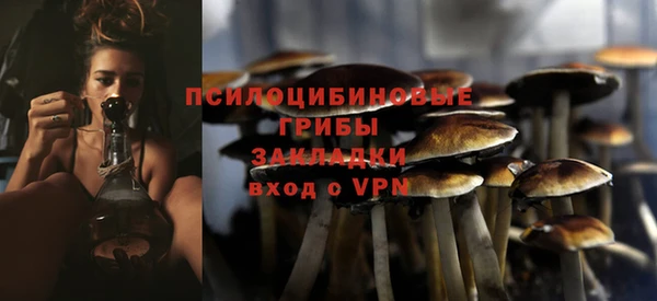 МДПВ Нефтегорск
