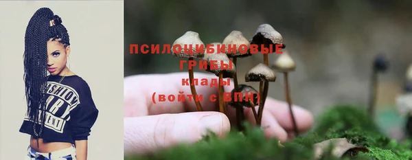 МДПВ Нефтегорск
