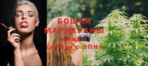 МДПВ Нефтегорск