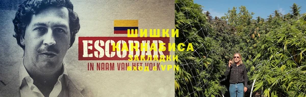 МДПВ Нефтегорск