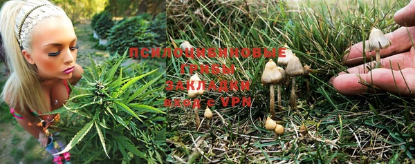 МДПВ Нефтегорск