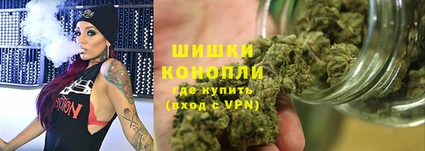 МДПВ Нефтегорск