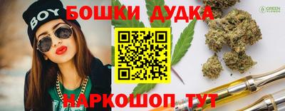 дмт Гай