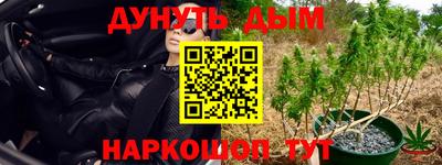 крисы Гусь-Хрустальный