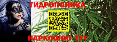 крисы Гусев