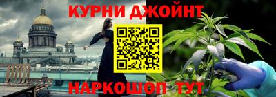 дмт Гай