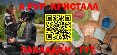дмт Гай