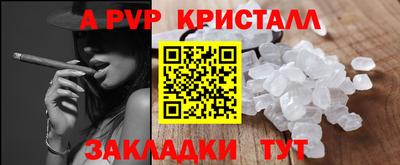дмт Гай