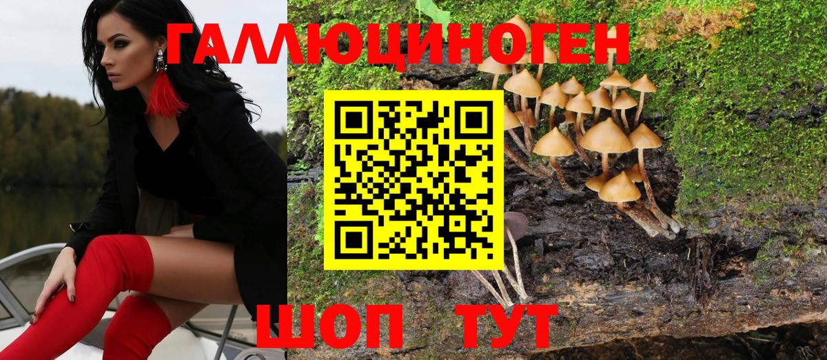 Псилоцибиновые грибы MAGIC MUSHROOMS  Псилоцибиновые грибы MAGIC MUSHROOMS  Елец 