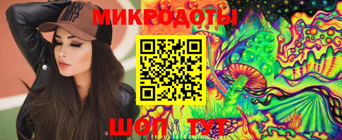 Псилоцибиновые грибы Cubensis Елец